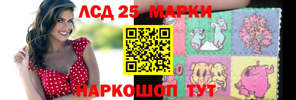Новозыбков  Лсд 25 экстази кислота  гидра как зайти  Лсд 25 экстази  Вход с VPN  Лсд 25 экстази ecstasy 