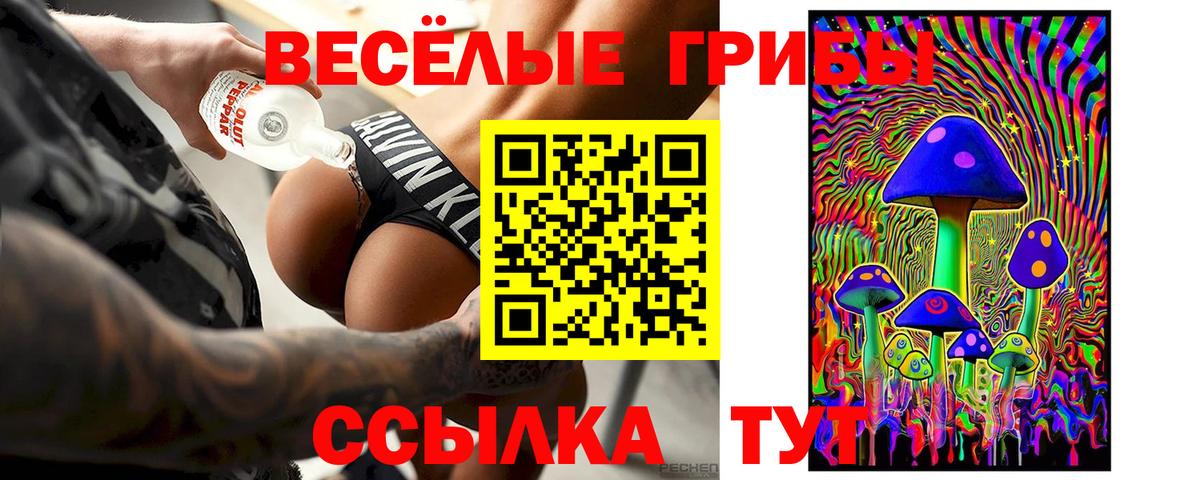 Новозыбков  закладка  Вход с VPN  Псилоцибиновые грибы прущие грибы 