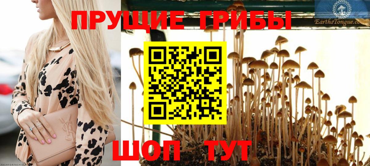 Галлюциногенные грибы мухоморы Новозыбков